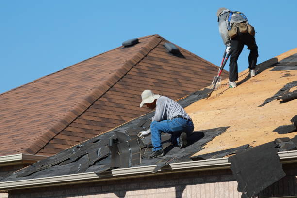 Best Roof Moss and Algae Removal  in Raeford, NC